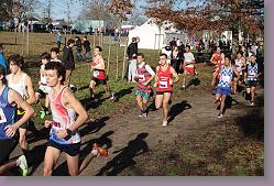 Begles 15.12.13 01 553 * 679 x 453 * (188KB)